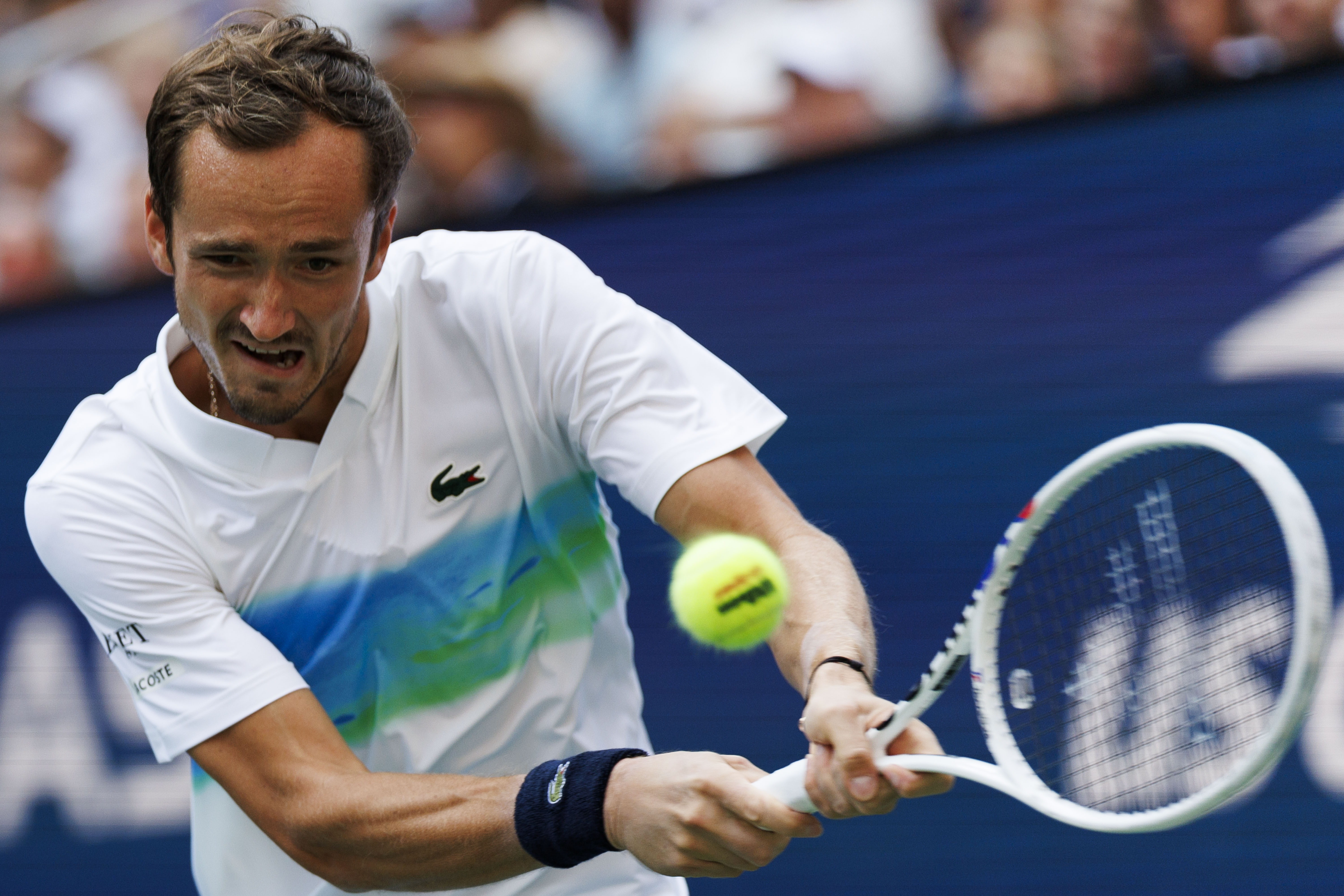 法网绝杀蒙特卡洛大师赛，梅德韦杰夫高光表现的简单介绍