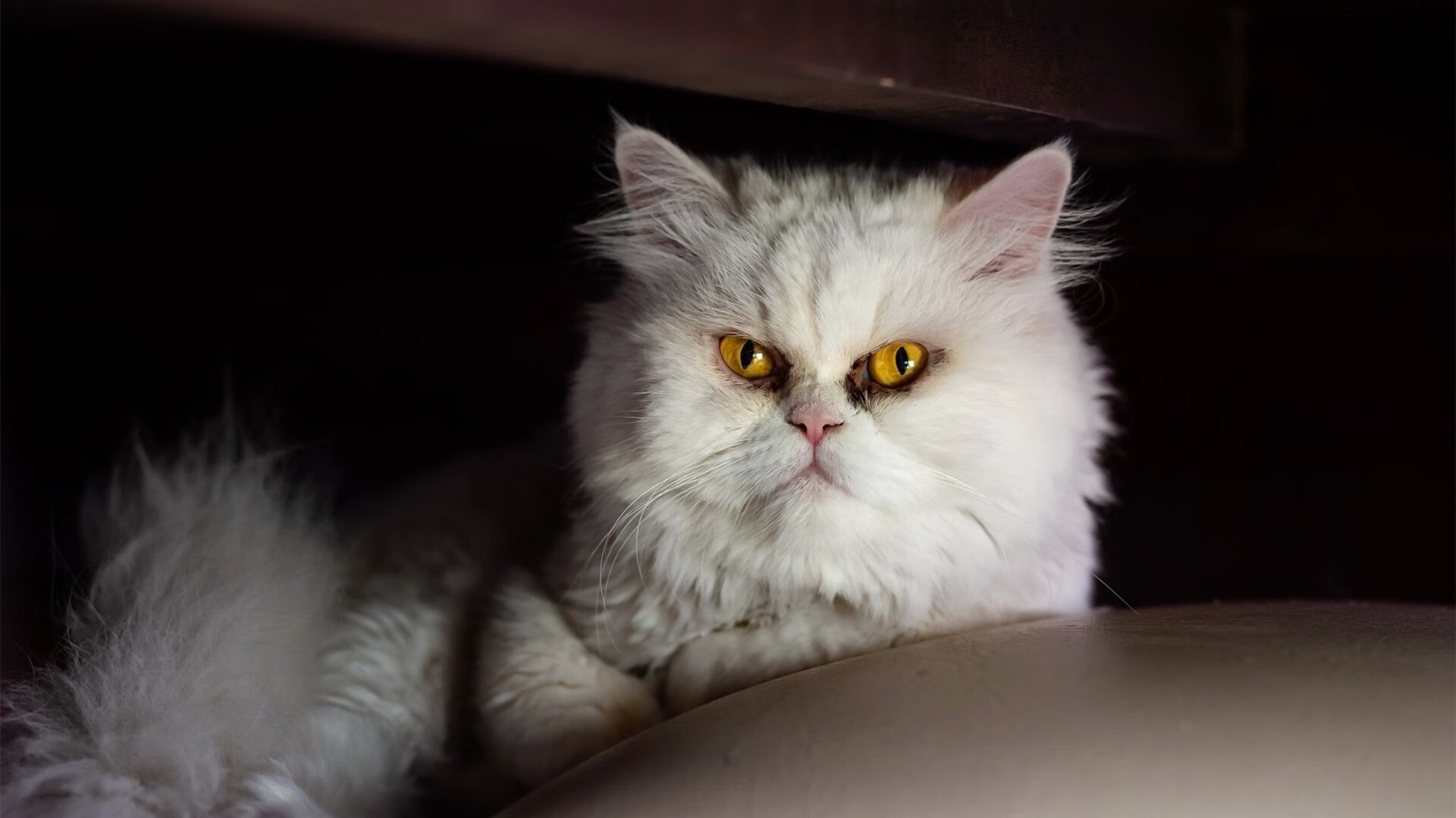 隐形锁链,三笘薰的防守革命,如何在瑞典式战术中冻结那不勒斯的闪电