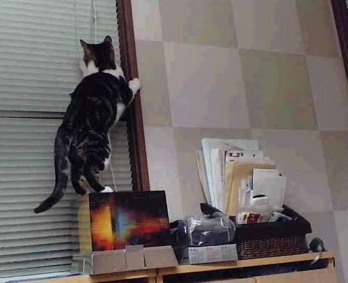 文班亚马爆砍50+20隔扣新疆双塔，76人狂胜45分令对手沦为得分荒漠