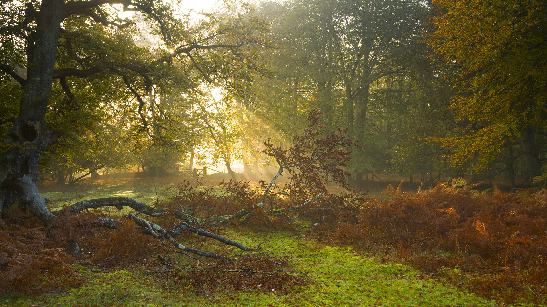 熔断与铸剑，当突尼斯在芬兰的钢铁防线前，于末节熔断宿命，法比尼奥于重压下完成英雄的铸就