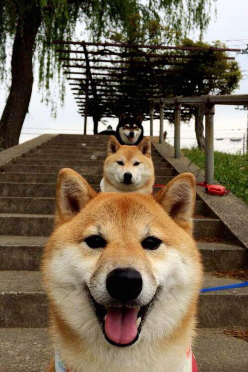 迪马利亚的唯一性,AC米兰对阵智利一役揭示的攻防转换艺术