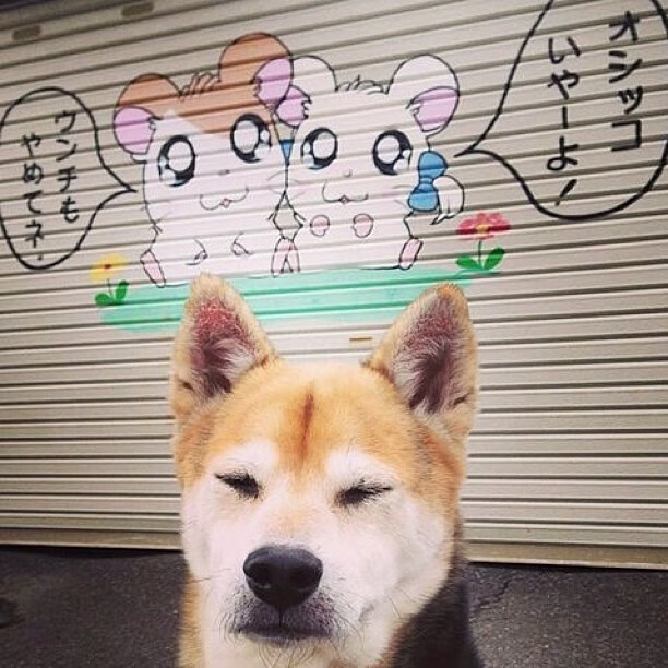 韩国铁血鏖战德甲巨人,伊萨克一剑封喉再证大场面先生本色