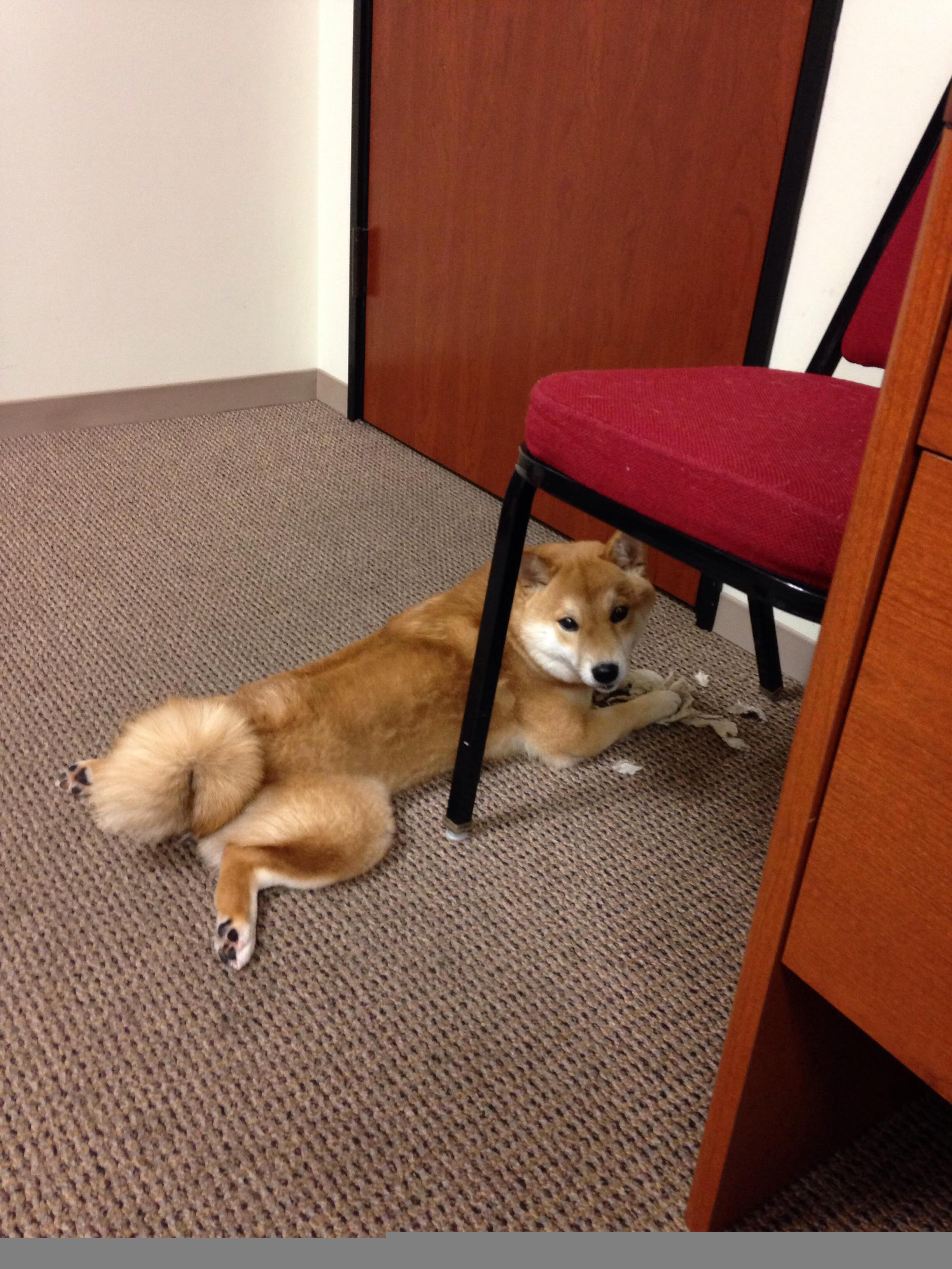 被淘汰者的背影，与争夺者的权杖，当竞技的残酷与荣光同框