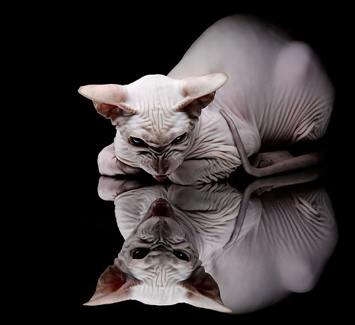 血色抢七,火箭与步行者的永恒炼狱