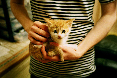 双城记,当英超争冠变成北伦敦心跳,骑士压哨绝杀穿越时空的巧合