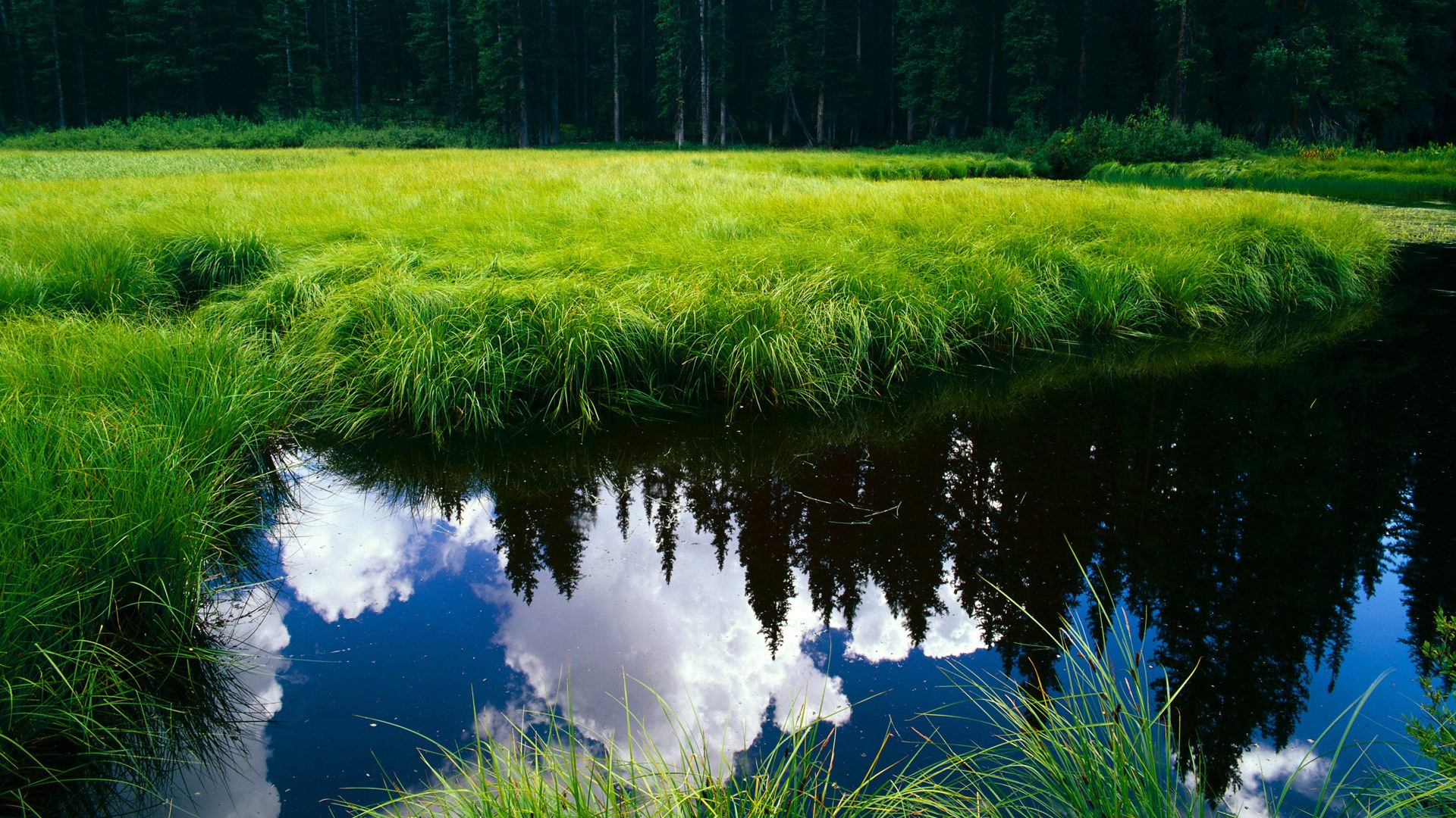 终极答案,当阿劳霍在半决赛画下现代足球的唯一解