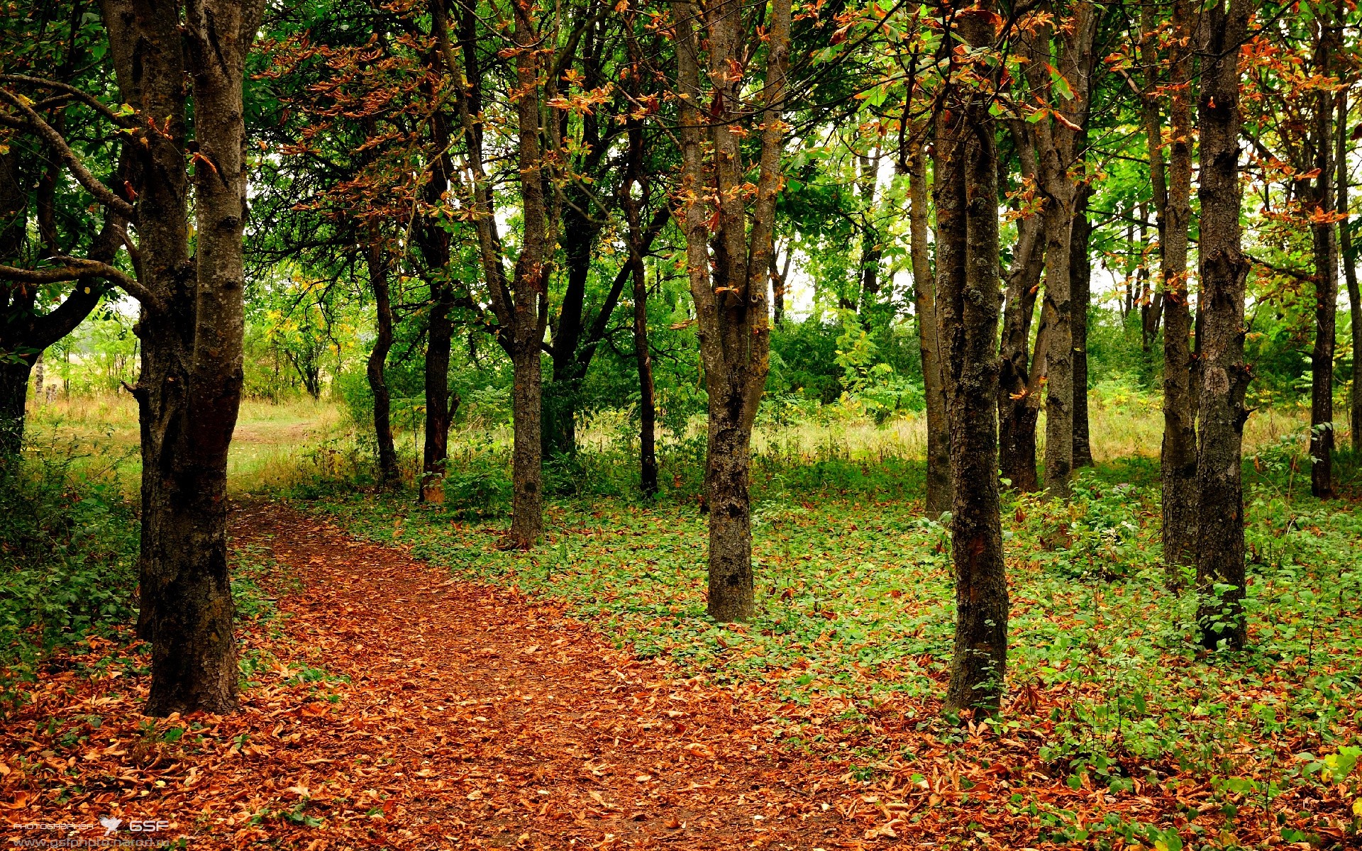 改写定义之战，当西决的硝烟飘进绿茵场