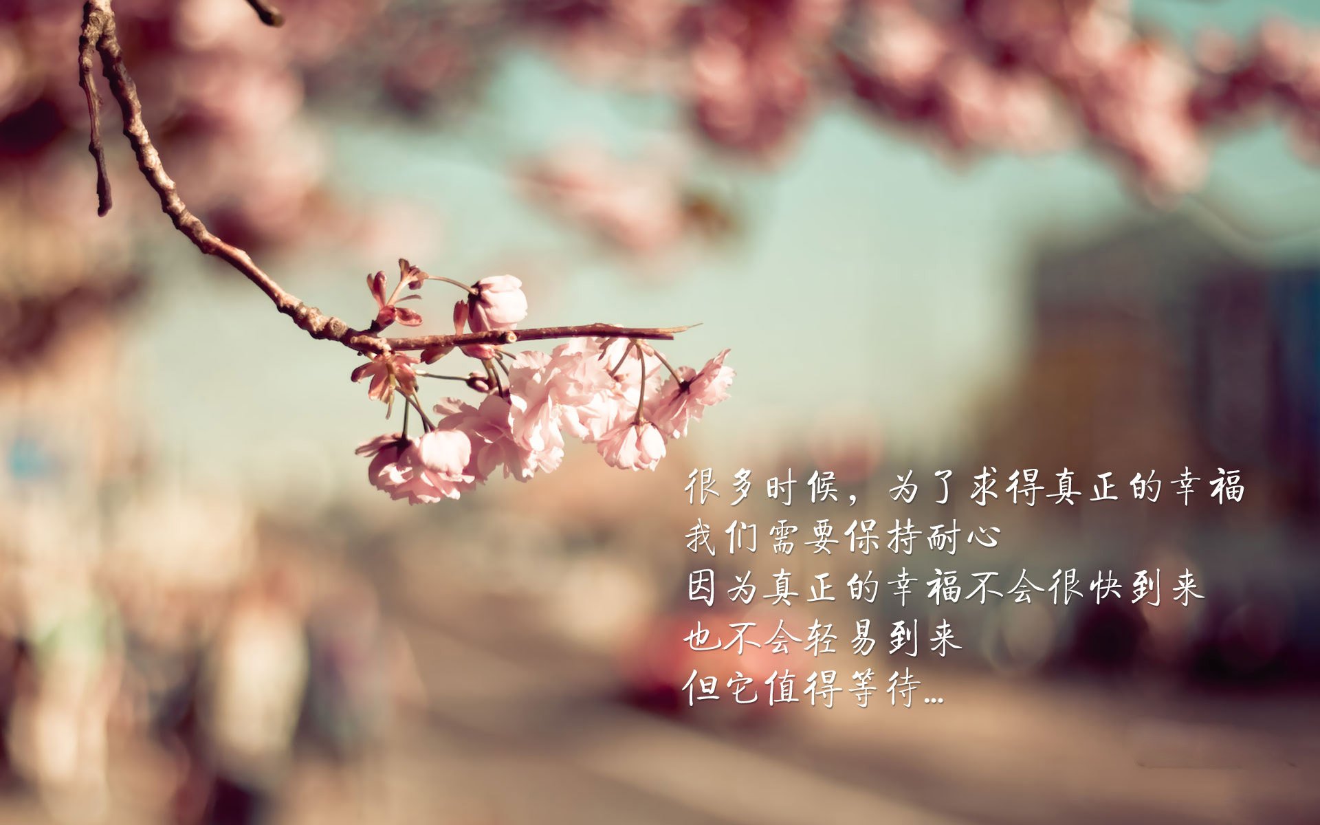 冰与火的终极碰撞,当维尼修斯的桑巴舞步,点燃泰国足球的亚洲之光—2026世界杯B组唯一剧本,大象军团绝杀北欧海盗,新王加冕夜