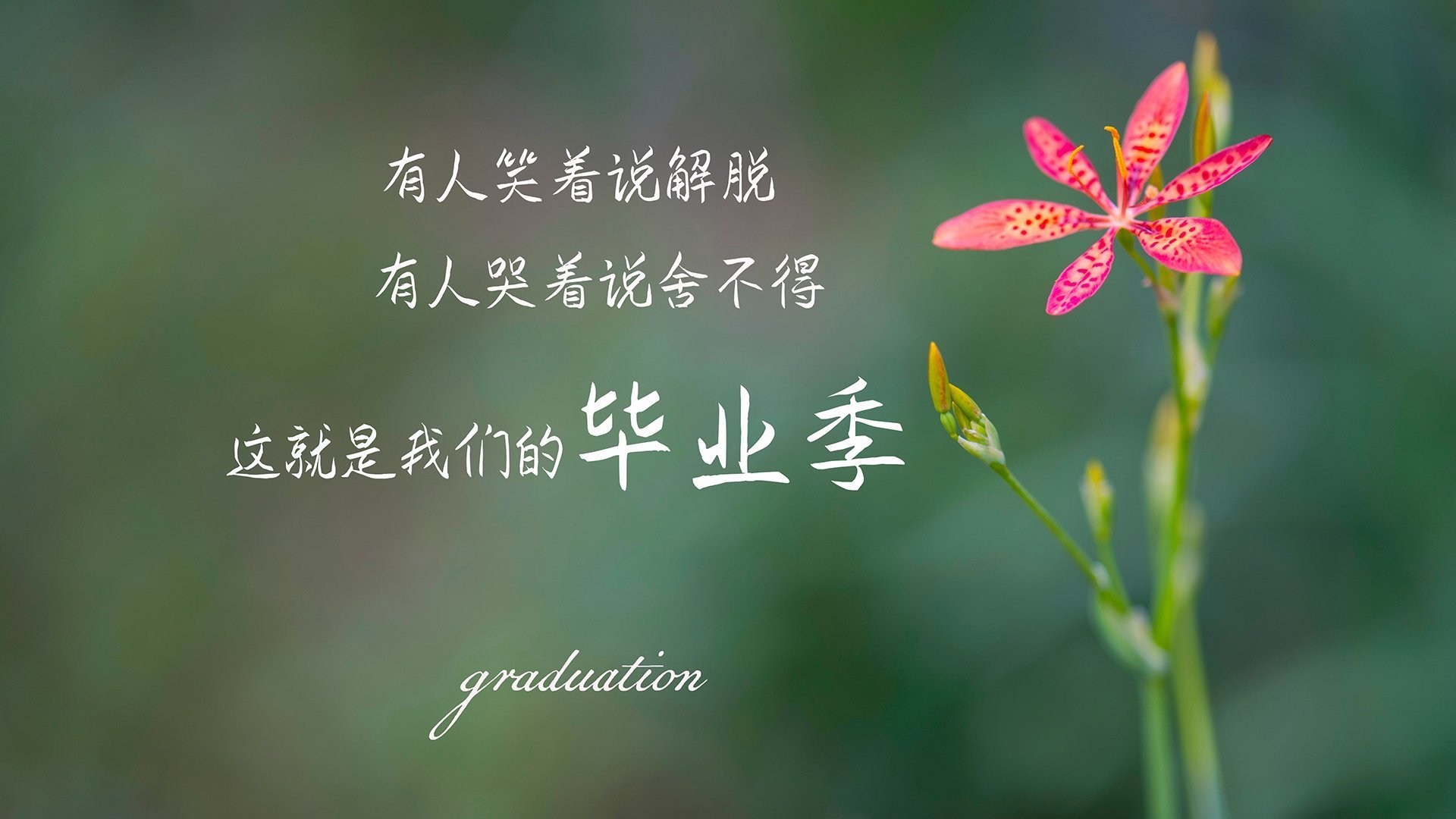 开云体育入口-死亡之组的惊天剧本，从绝望到狂欢，三狮军团如何用战术外科手术肢解葡萄牙？
